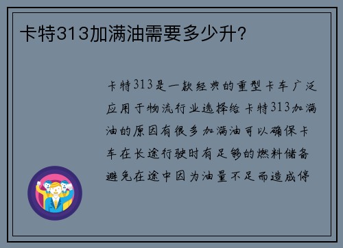 卡特313加满油需要多少升？