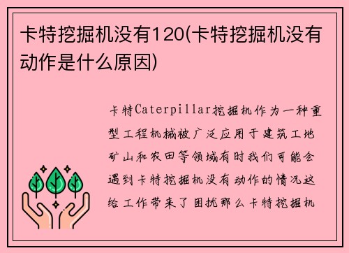 卡特挖掘机没有120(卡特挖掘机没有动作是什么原因)