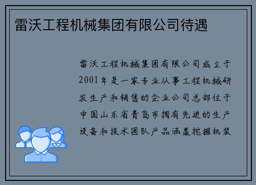 雷沃工程机械集团有限公司待遇